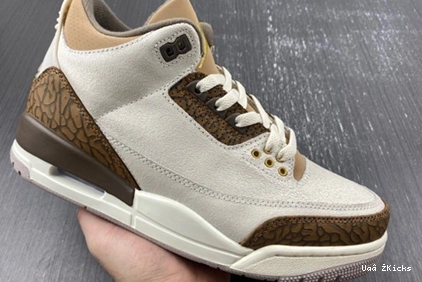 9353 379 StreetReady Jordan 3 CT8532- “Palomino” Air 0902